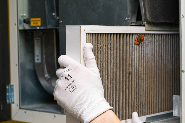 Best Duct Cleaning Specialists  in Sinton, TX