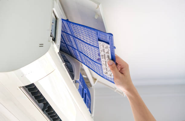Best Professional Duct Cleaning Services  in Sinton, TX