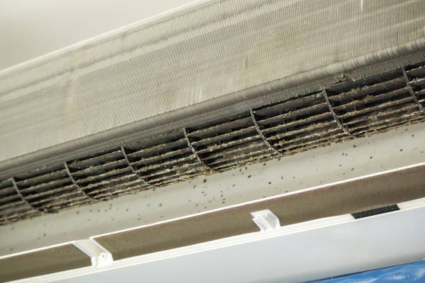 Best Professional Duct Cleaning Services  in Sinton, TX
